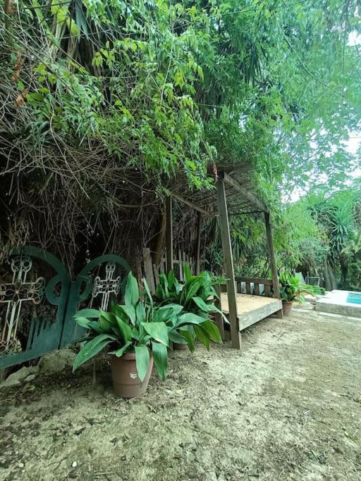 Casa Rural En El Campo Con Animales, Piscina Y Barbacoa Almodóvar del Río Екстериор снимка