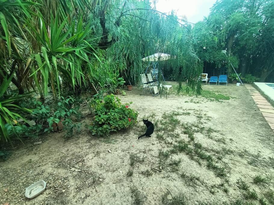 Casa Rural En El Campo Con Animales, Piscina Y Barbacoa Almodóvar del Río Екстериор снимка