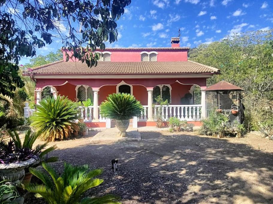 Casa Rural En El Campo Con Animales, Piscina Y Barbacoa Almodóvar del Río Екстериор снимка