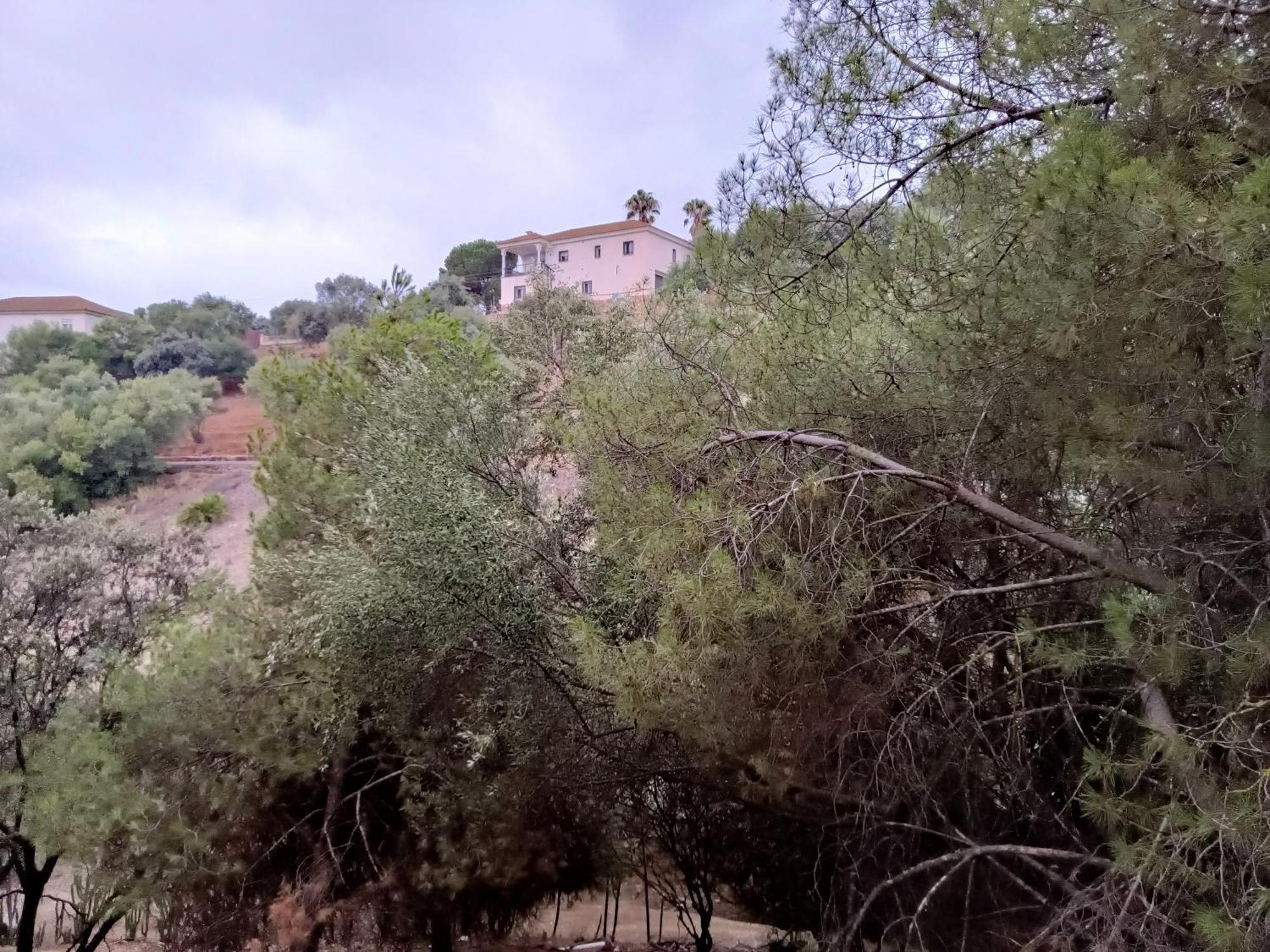 Casa Rural En El Campo Con Animales, Piscina Y Barbacoa Almodóvar del Río Екстериор снимка