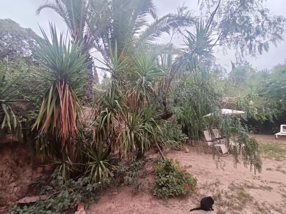 Casa Rural En El Campo Con Animales, Piscina Y Barbacoa Almodóvar del Río Екстериор снимка